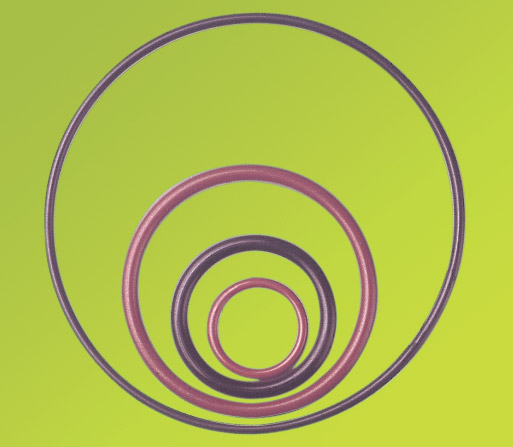 Ptfe ओ-रिंग